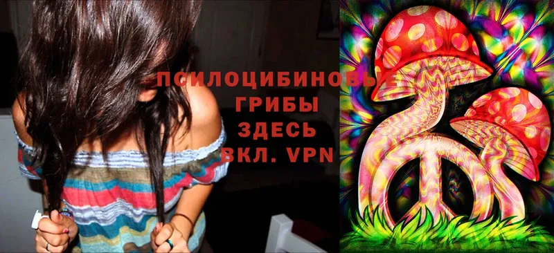 Псилоцибиновые грибы Magic Shrooms  даркнет официальный сайт  Чебоксары  гидра зеркало 